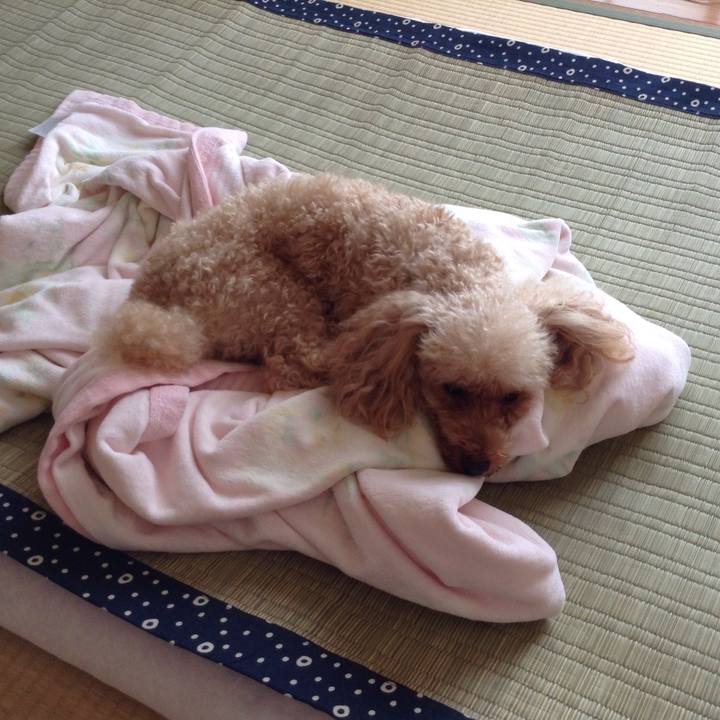 Aa247012 bd5e 431a be60 87288bc350e5