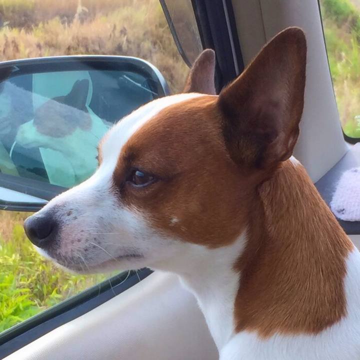 Aa249ca9 8013 49dc 8fdd 477574c4d92b