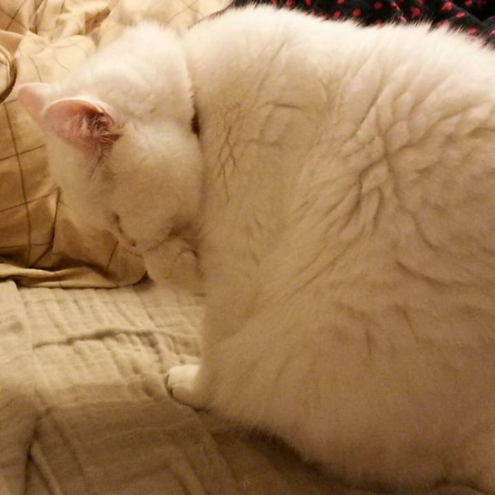 Aa255cb9 eef4 4642 9a18 9548b92823ac