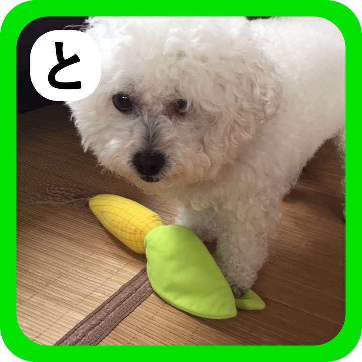 Aa25786e a4e9 4901 99b9 5cc2bf948432