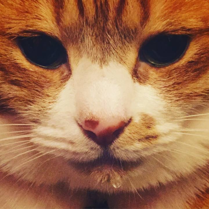 Aa25e513 a0db 468b b845 f733fa7dbf40