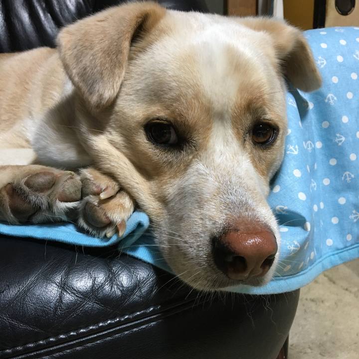 Aa26056a 23c4 4ec6 a169 0ab632231106