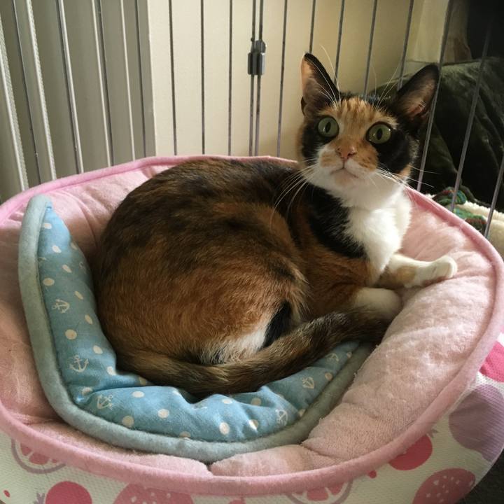 Aa2657fe f1ba 4897 b94b c3fef11fbb31