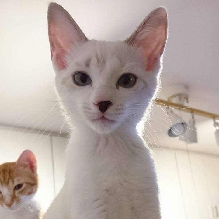 Aa266b7f ca97 459f 99f7 d47f94d3569d