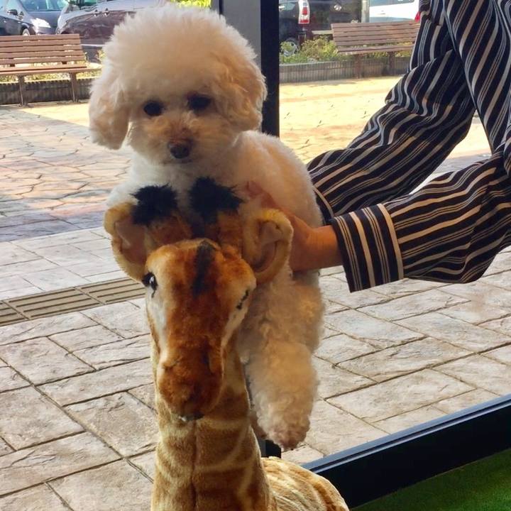 Aa26aa96 9076 4ae4 849c 83e69e92827b