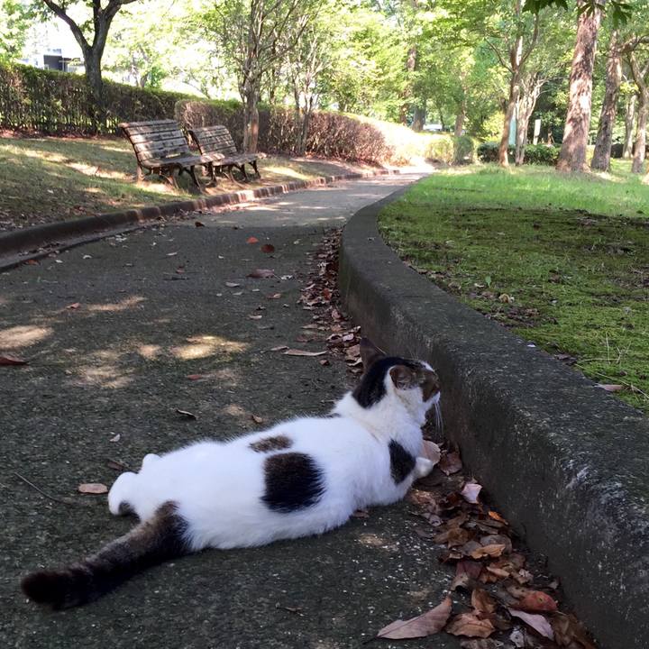 Aa27357c af33 4045 94e9 7809d4e622c8