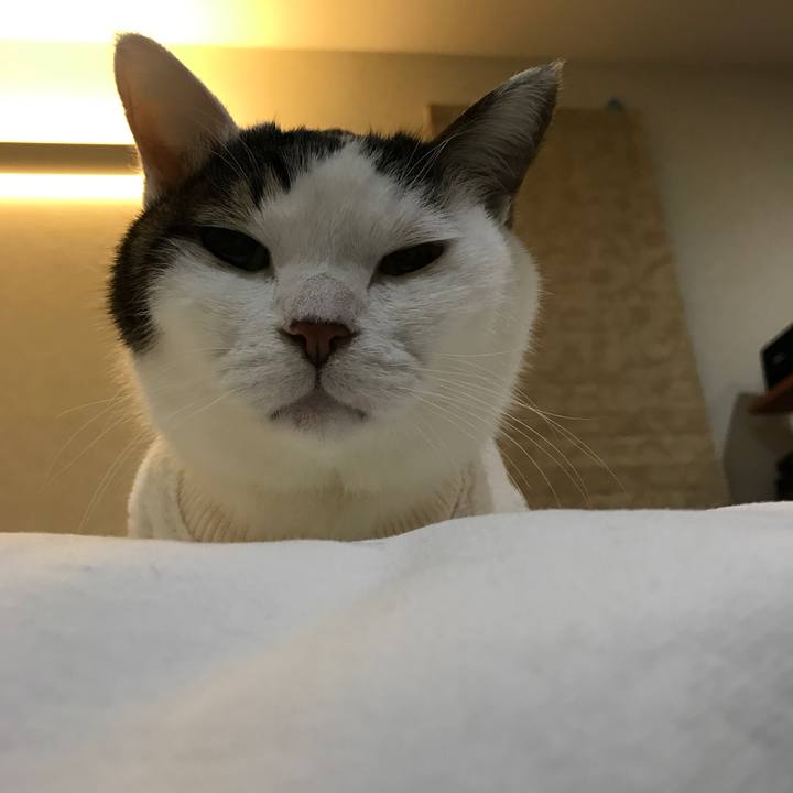 Aa273bc4 ccb3 4d72 8cea 5cd51c951d86