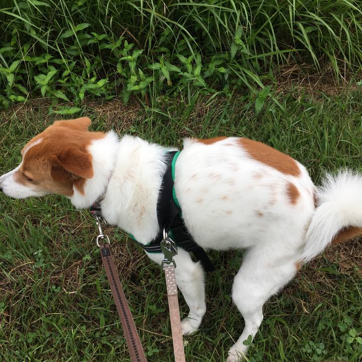 Aa27b550 742c 4058 9b44 047a1c376614