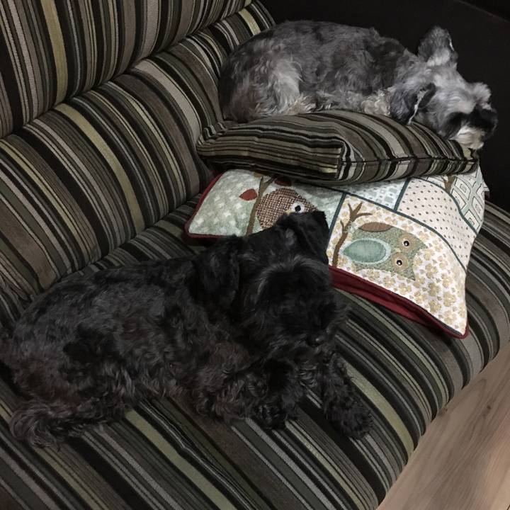 Aa27c206 deb5 4a14 b31e 652596405969