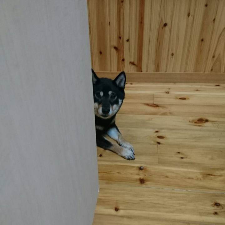 Aa28012b 9f91 4187 a85b 986b7b0d21ab