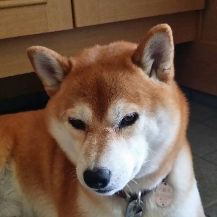 Aa28233c 2e5c 4984 bec3 94376076d569