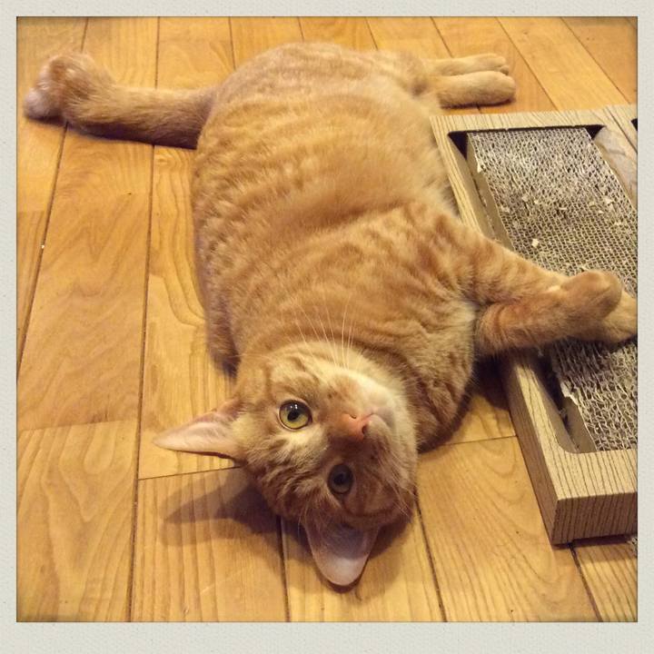 Aa285038 013e 494a ac1f a7fda7674c6b