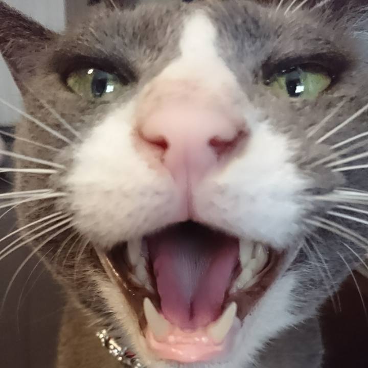 Aa28e8a5 0fb1 41b9 b05c b5c65c34c5b5