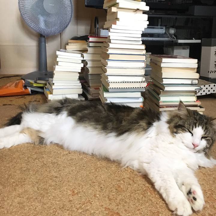 Aa29a4dd d6c6 4391 86f4 760d63f36b9a