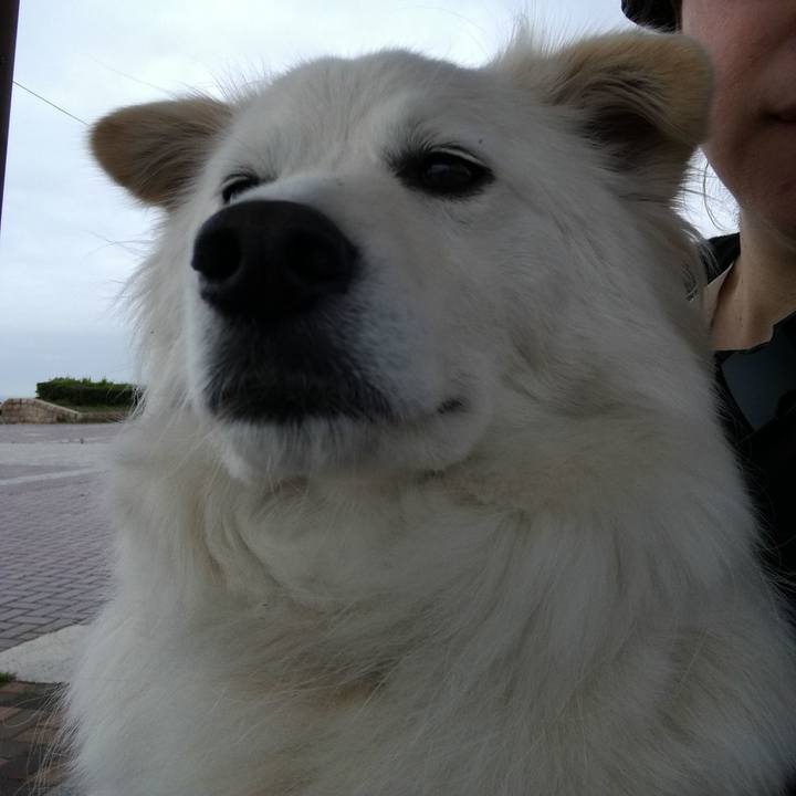 Aa29d3a1 7551 48ef 915f bea2c919bd8a