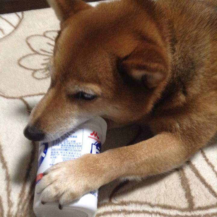 Aa2a3658 9568 475e 951f d6c9f6b109a7