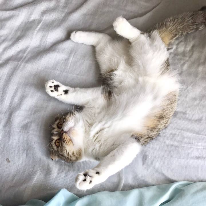 Aa2a6dbd f153 4e8a bd56 903c5c9724ce