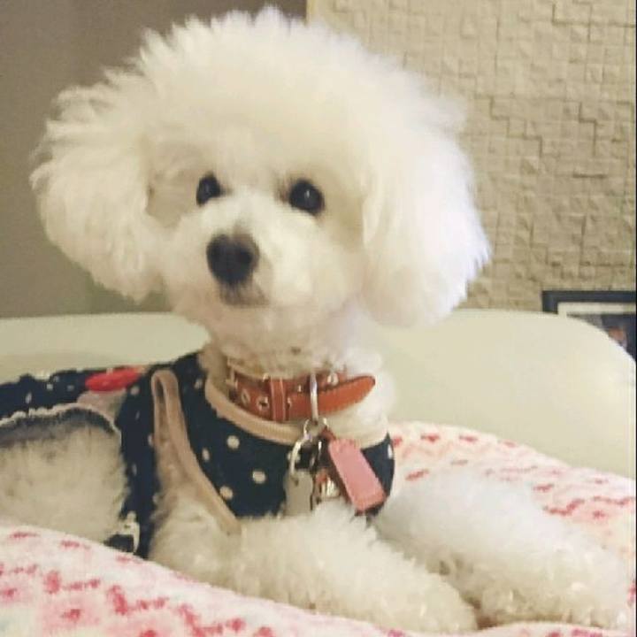 Aa2ae46d 0552 42e7 a077 62e4b30663b3