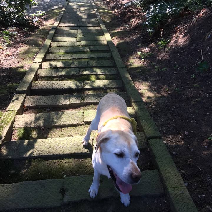 Aa2b09b3 d45f 4f54 ae51 7d6440723e9b