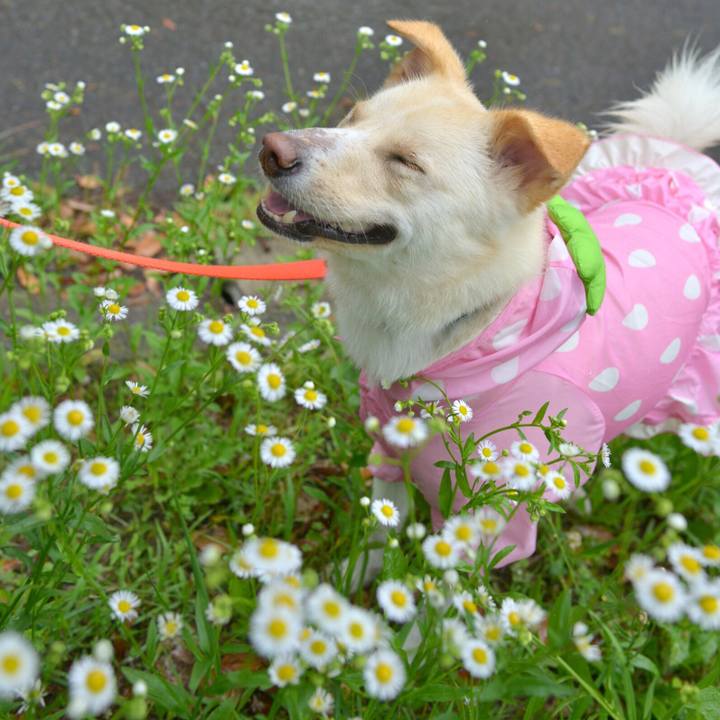 Aa2b2bae dfb5 49fc 829a 806ad48dc2c4