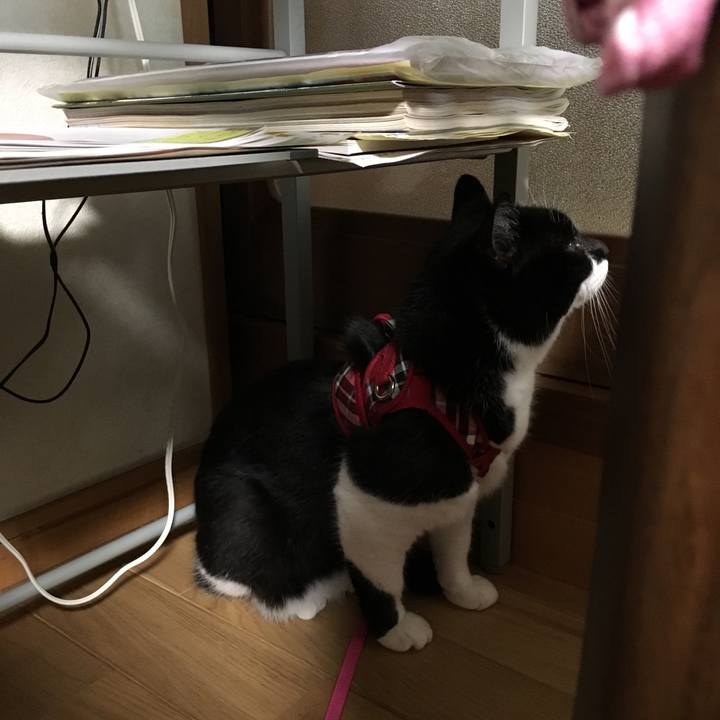 Aa2badb9 0e05 4e13 b39c c09508645653