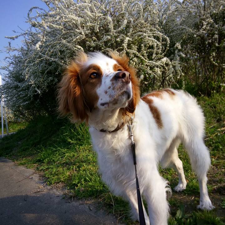 Aa2befc1 3915 4b65 87e3 70b1a8aa5129