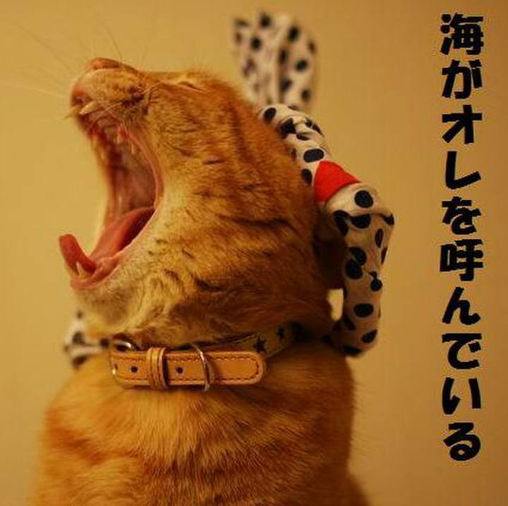 Aa2c25d1 1698 45f3 99ee 126a37bc30fa