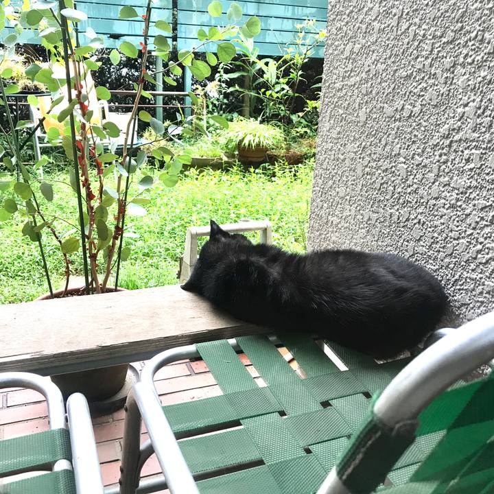 Aa2cbac5 42cd 4664 9547 3c4bfc18751e