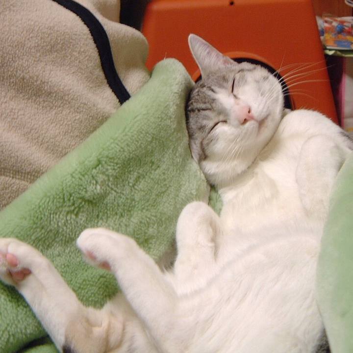 Aa2d7225 ef20 4f2b 881b 0bd9d6c0265b