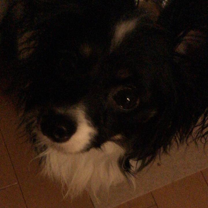 Aa2dbf47 46b1 42f2 bfbe d634129463fd