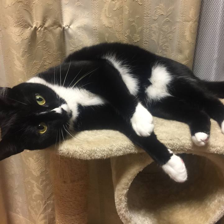 Aa2edb24 d9df 42d0 93c7 ac8ad27f1a4e