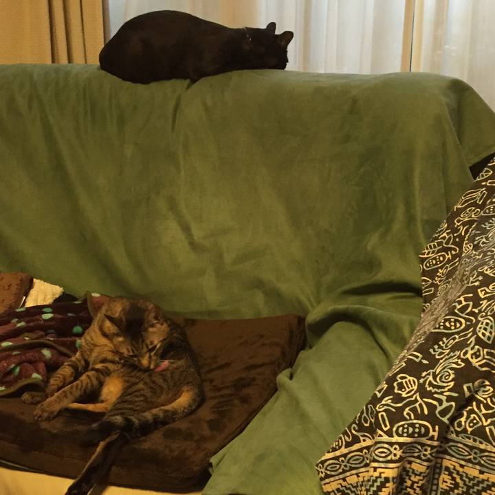 Aa2f1326 151c 4d10 bda3 3b653cf9a83a