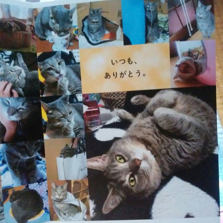 Aa2fb46a 6477 41df b938 d1e1beb39935