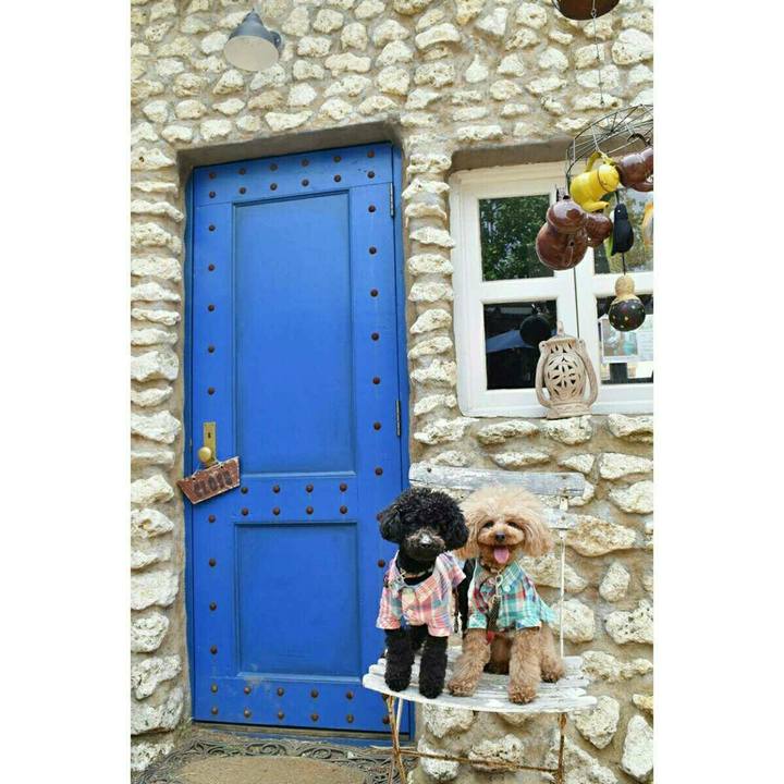 Aa2fb8ce c34f 4d6c b488 d0f7bc64350f