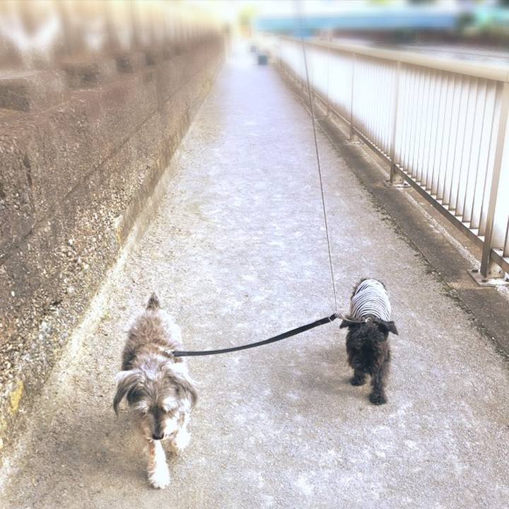 Aa2fd8d6 f467 4a92 8515 43cdd8566ea3