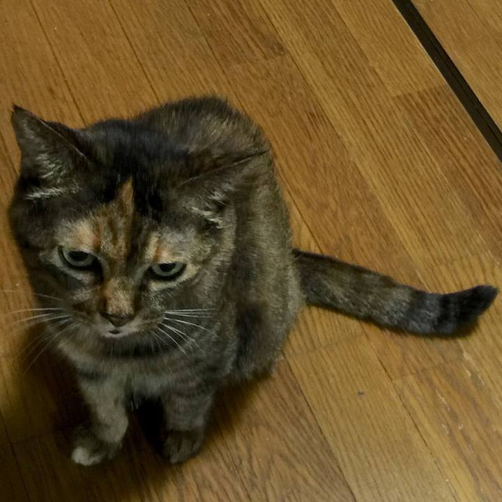 Aa2fef10 07f7 4eb3 8ed7 f048957fbce4