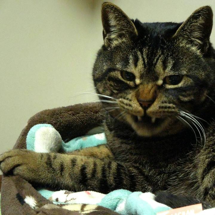 Aa302b1f 7886 4f5c 9df0 5fc46430372d