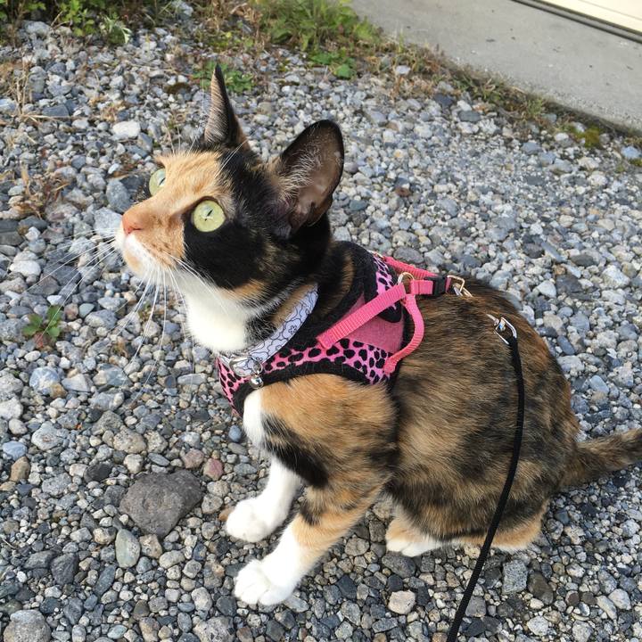 Aa30cd6f be54 4805 9165 f3063c465efe