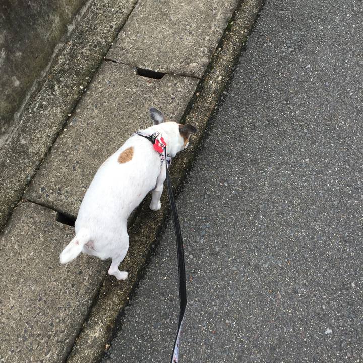 Aa312374 d0b5 42cd b342 5d6fdcefe96f