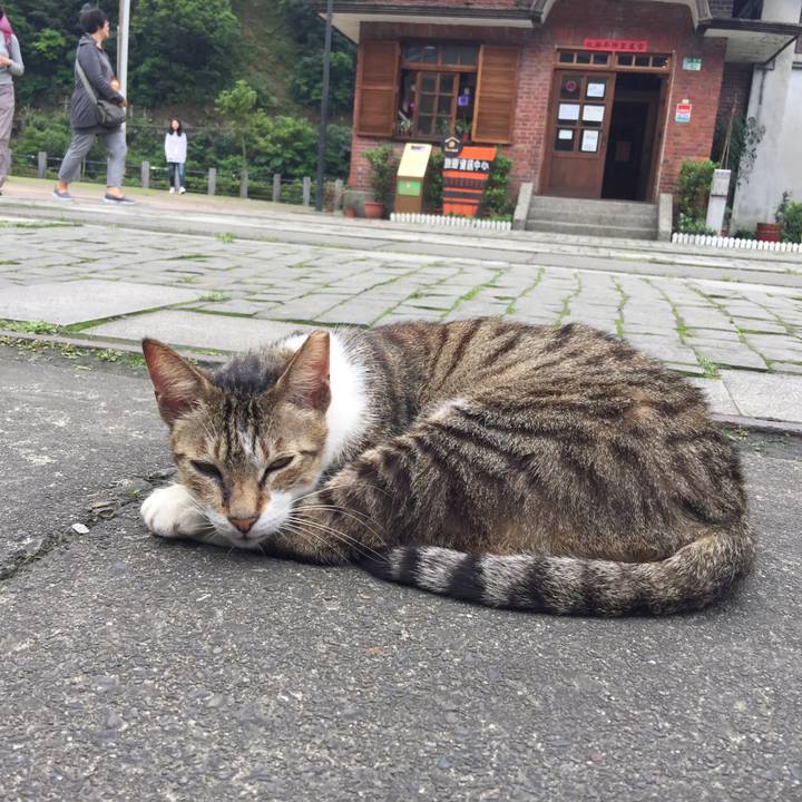 Aa31274f 3570 4884 baac 1f5be3d18e08