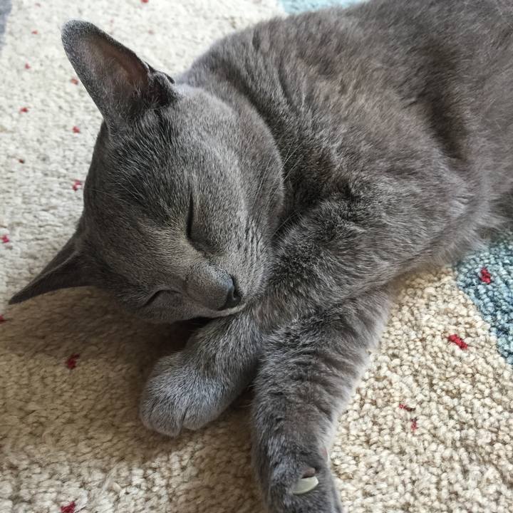 Aa331c6e 7013 4a20 80aa efd5f4abedc5