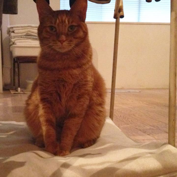 Aa3399d5 77ea 4f87 bf58 1910ec79a534