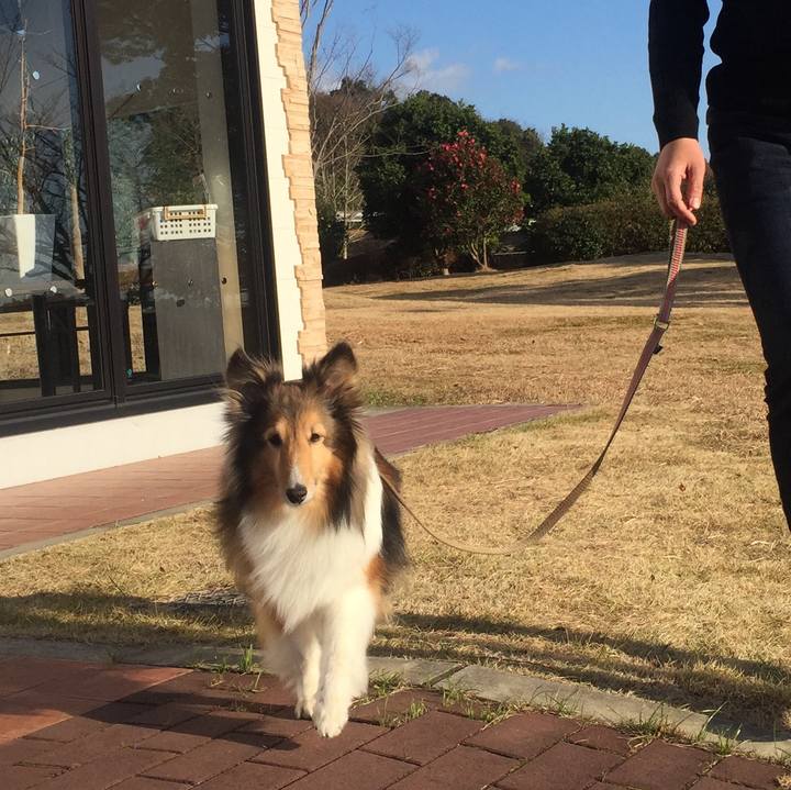 Aa33ba42 79e2 4f36 b690 db47f7acdb82