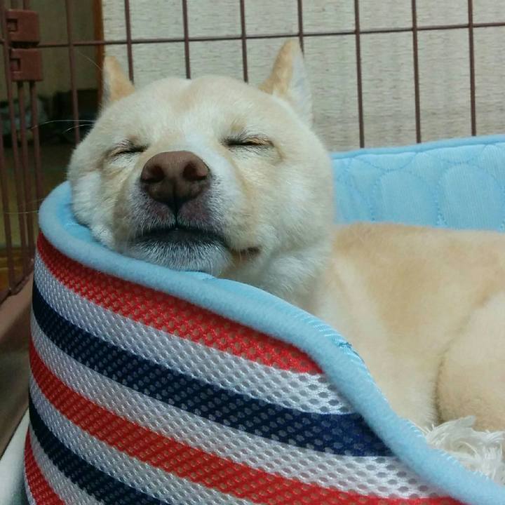 Aa3455bb d886 4e71 a90e 1db860d13c70