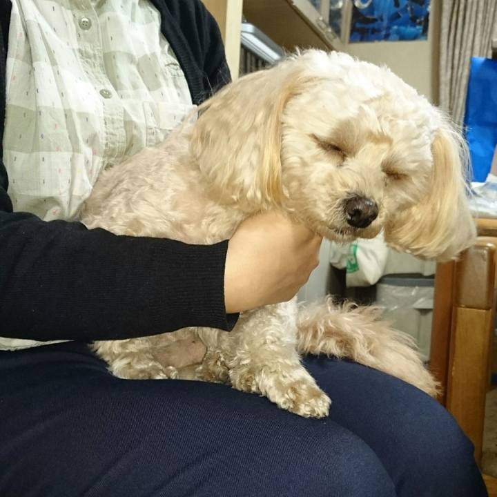 Aa346301 f3a1 41c3 813b 7ad2f89b4634