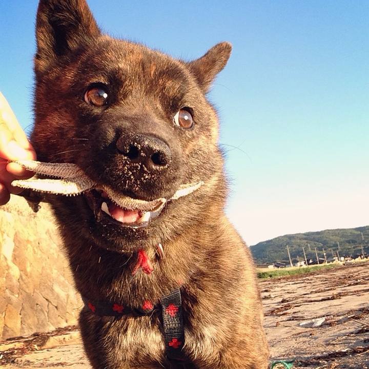 Aa347ec4 0d62 4174 bc0e 63043b4248bc