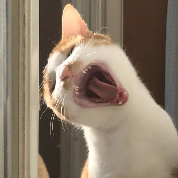 Aa34801b 22f5 4b59 8c1f 53660abf4b6c