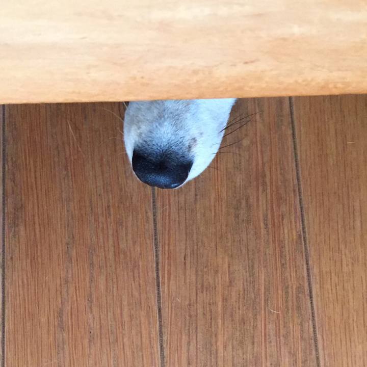 Aa348f5a 3dd4 4fad be9e c4a0380a0293