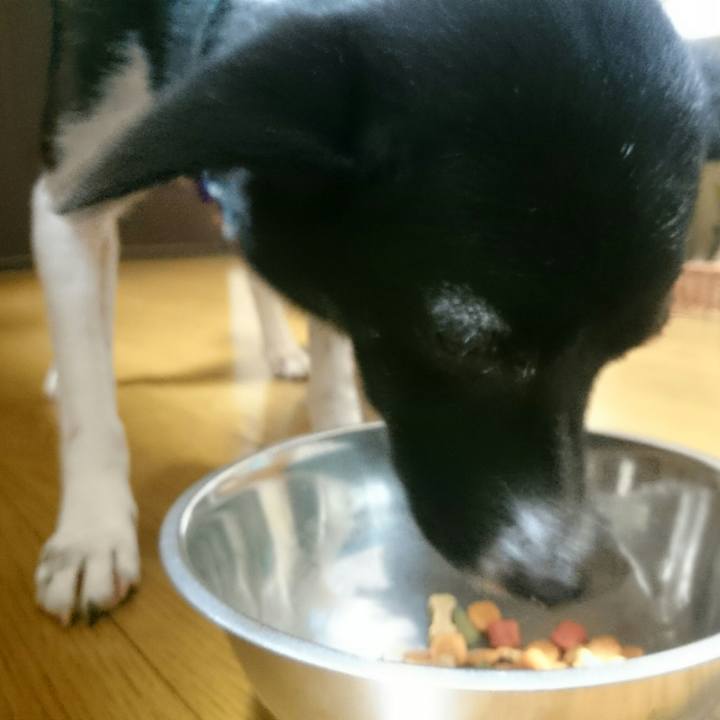 Aa34945c fc14 40ac 9177 f83fc011e133