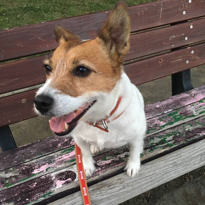 Aa34c5de 8876 4279 abe2 0adb277b680e